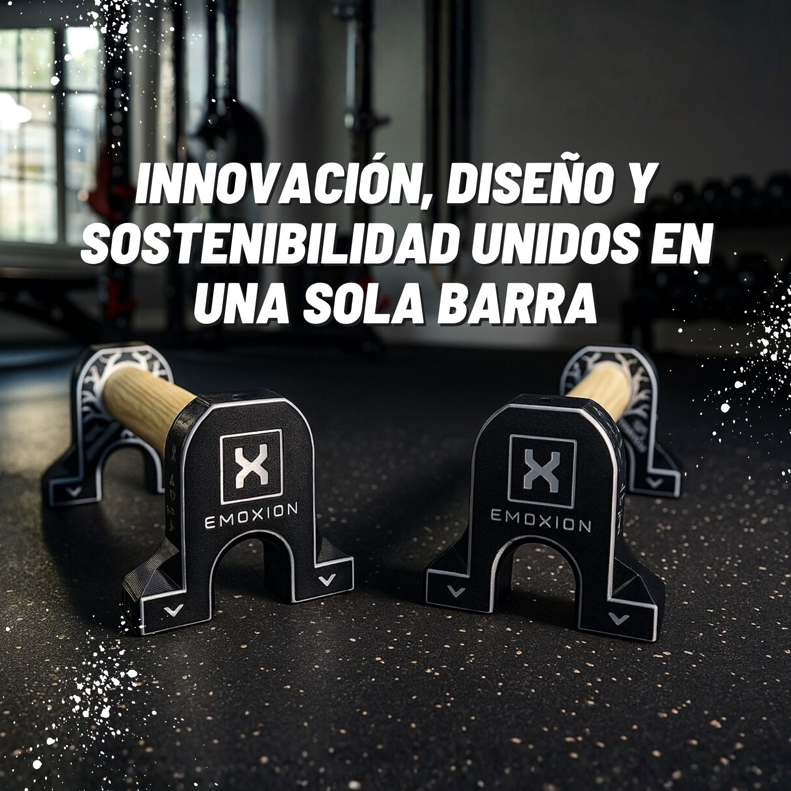 paralelas calistenia