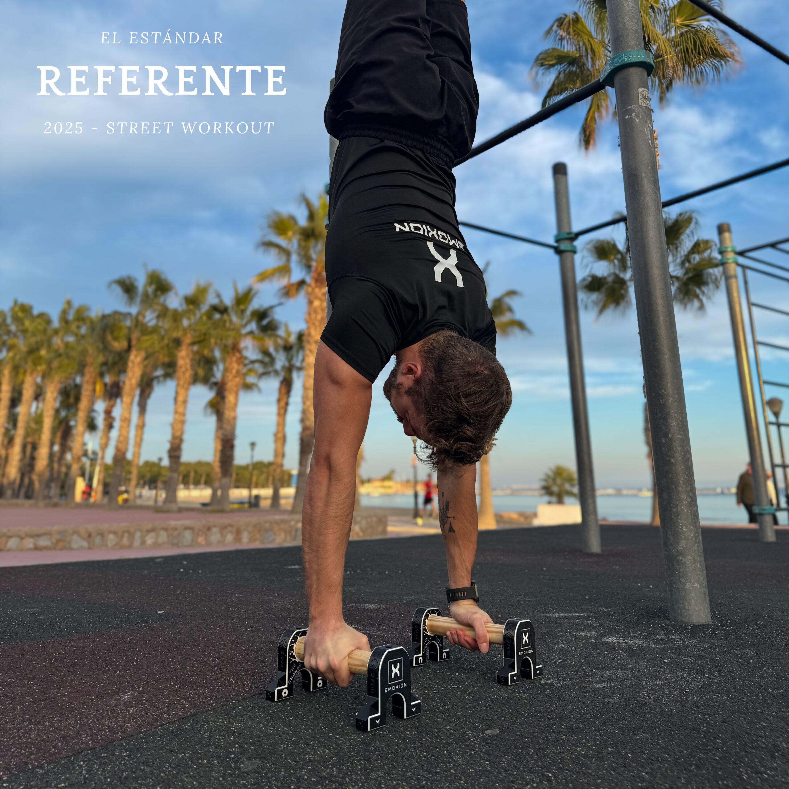 paralelas calistenia