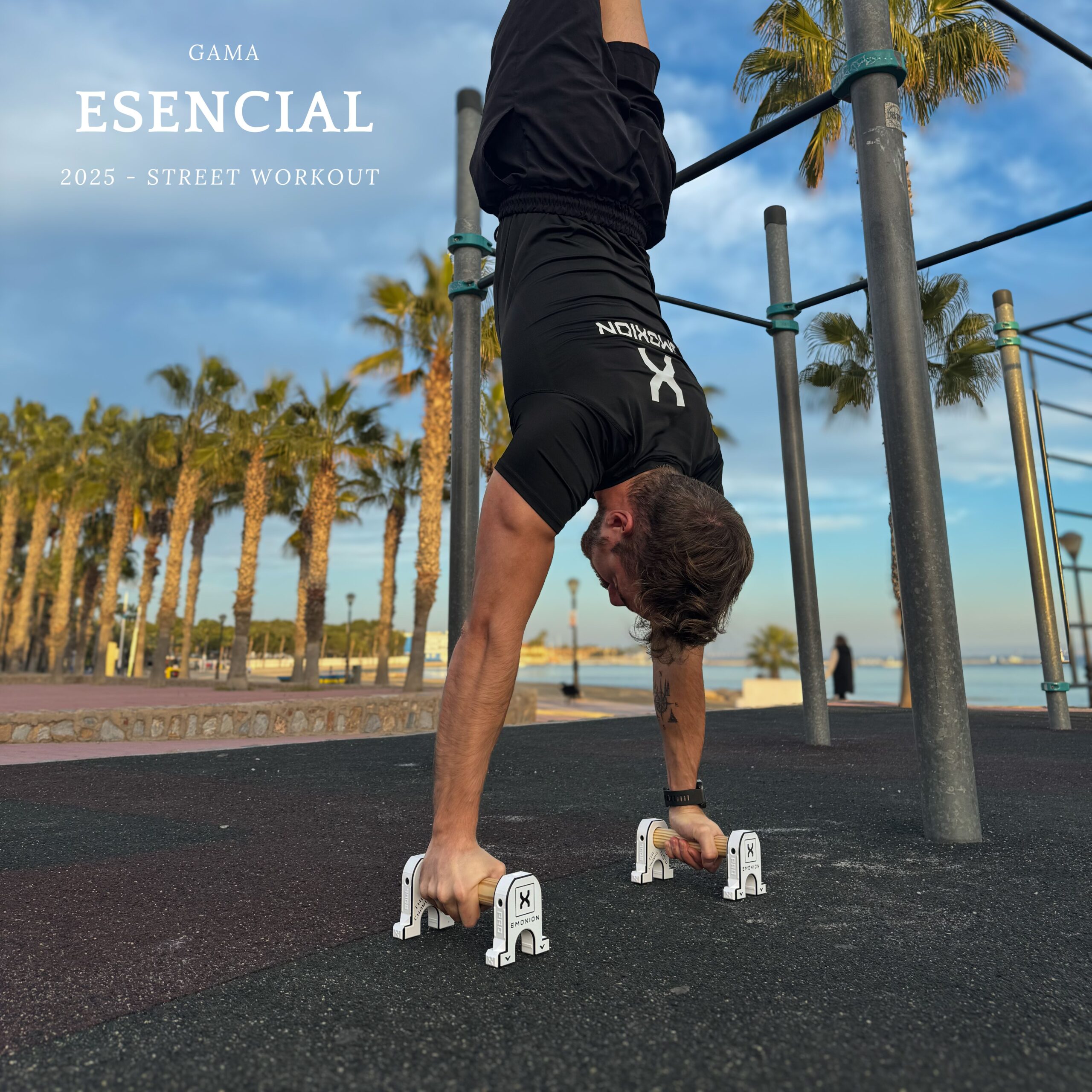 paralelas calistenia