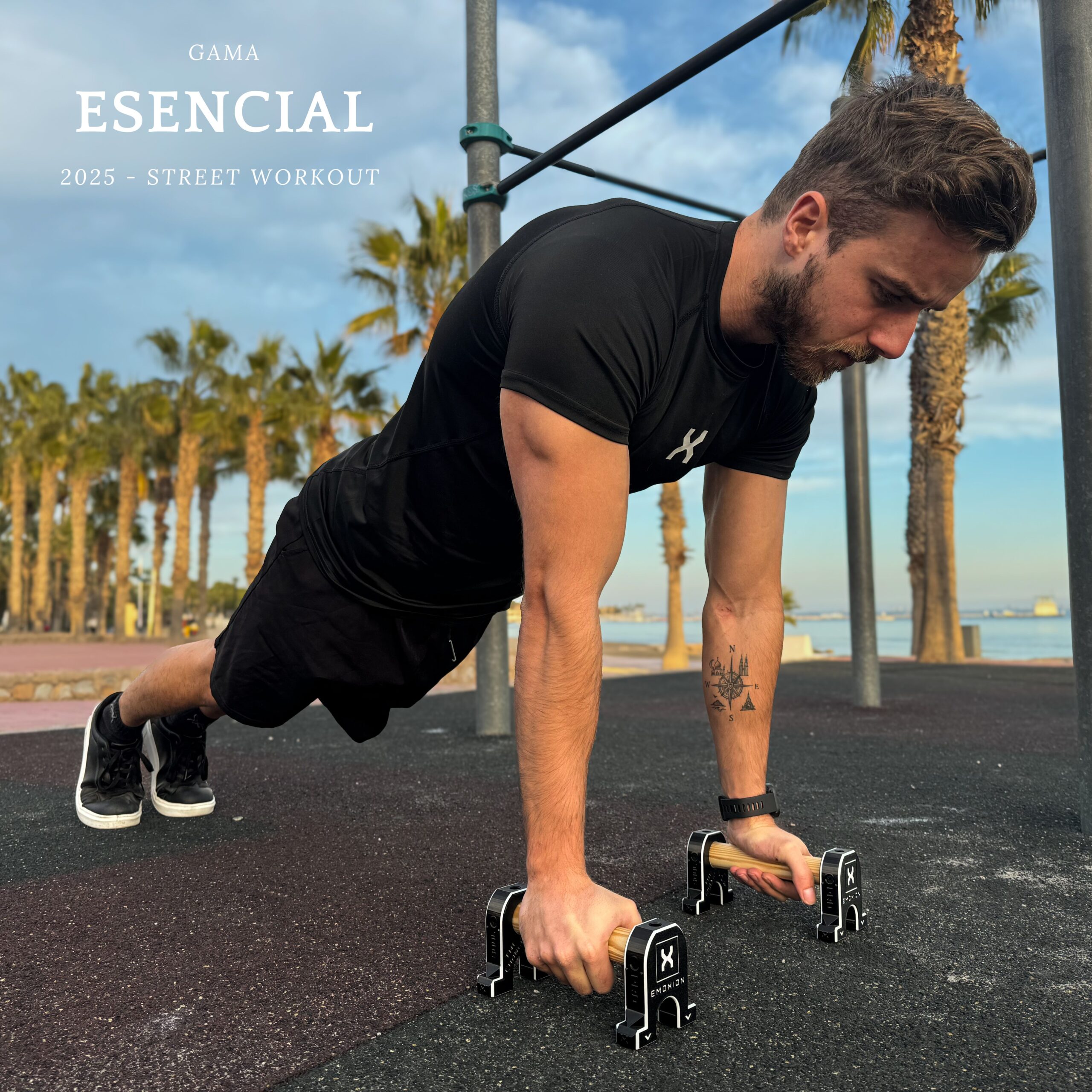 paralelas calistenia