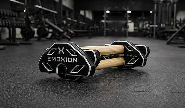 paralelas calistenia