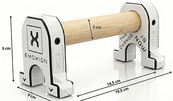 paralelas calistenia