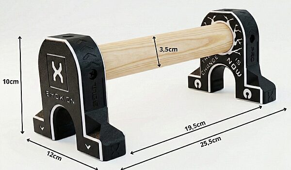 paralelas calistenia