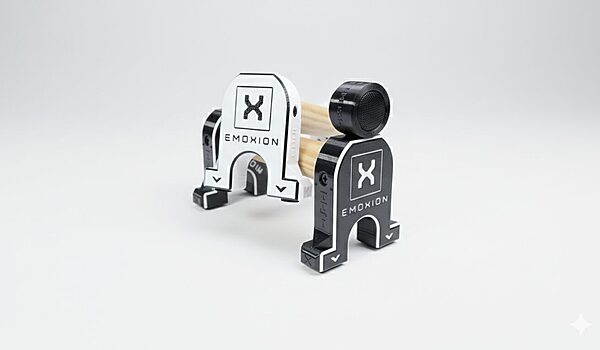 paralelas calistenia